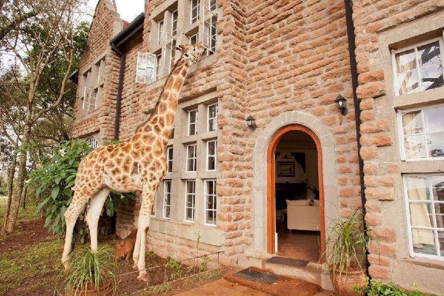 The Giraffe Manor
